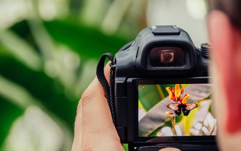 A person holding a digital camera displaying a butterfly on a flower